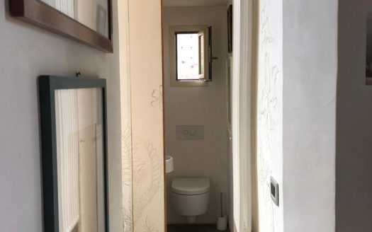 Oltrarno appartamento in bio architettura S15