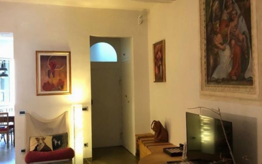 Oltrarno appartamento in bio architettura S15