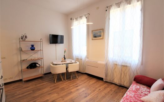 Oltrarno, bilocale S22