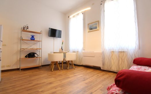 Oltrarno, bilocale S22