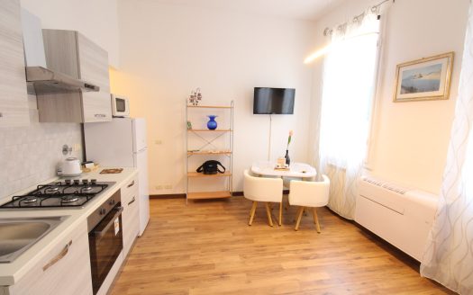 Oltrarno, bilocale S22