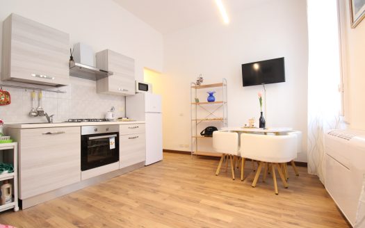 Oltrarno, bilocale S22