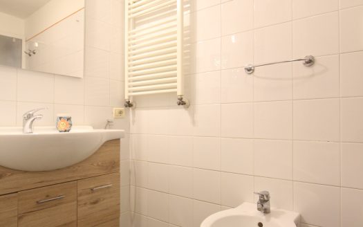 Oltrarno, bilocale S22