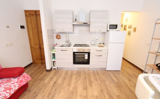 Oltrarno, bilocale S22
